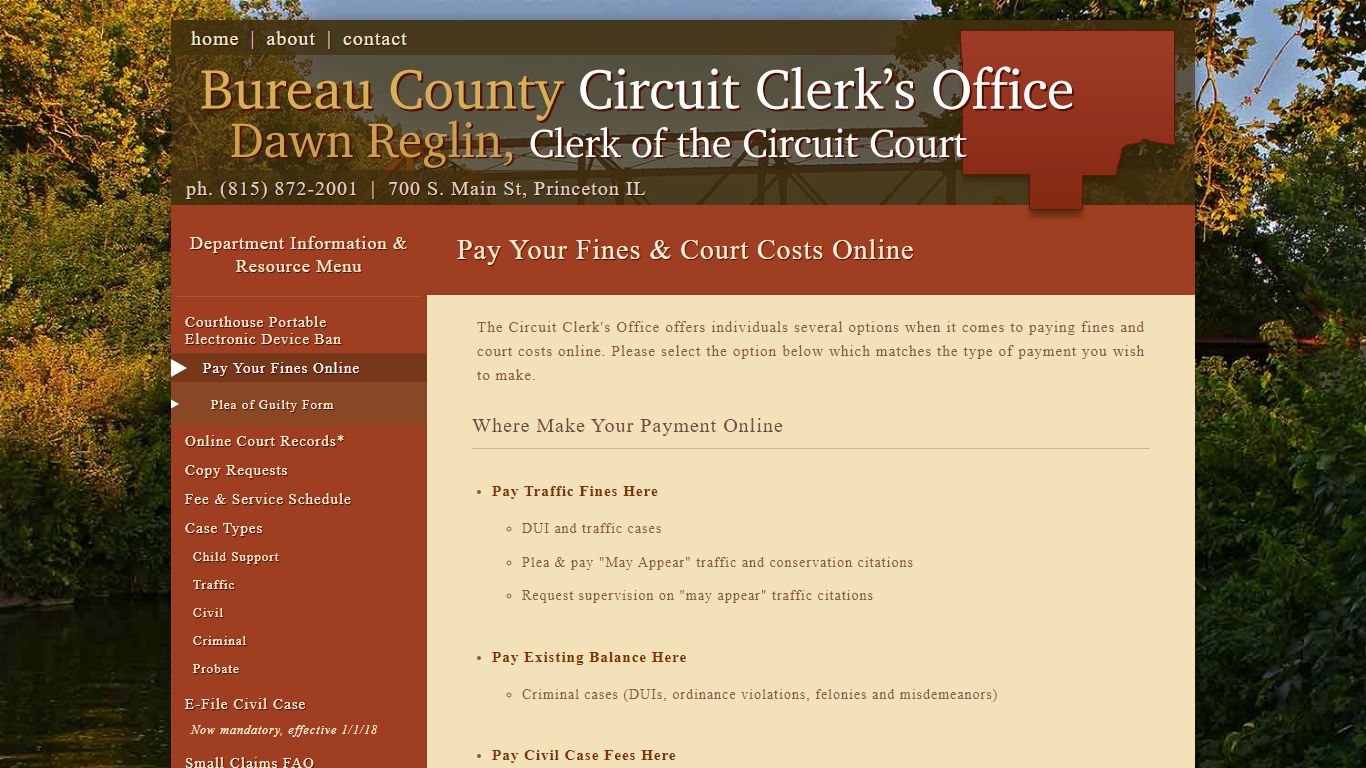 Pay Your Fines & Court Costs Online - Bureau County, Illinois